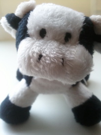 OREO black and white cow